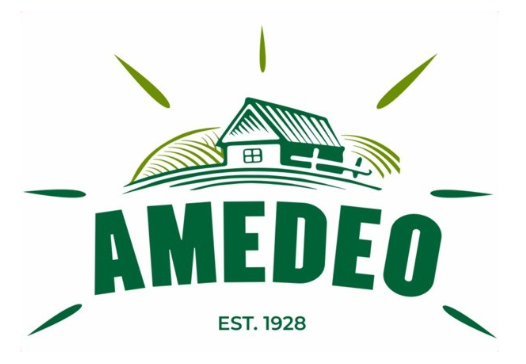 Амедео